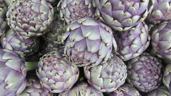 孕妇能吃甲鱼和乌龟吗? 孕妇能吃甲鱼和乌龟吗?